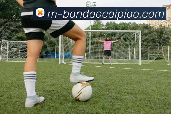 半岛彩票发展历程